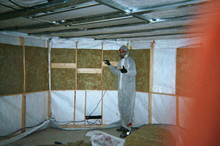 Pharoah standing in the bunker during the insulation process.